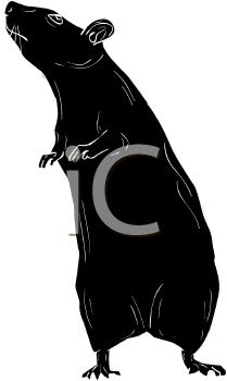 Rodent Clipart