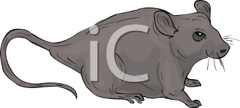 Rodent Clipart