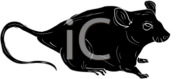 Rodent Clipart