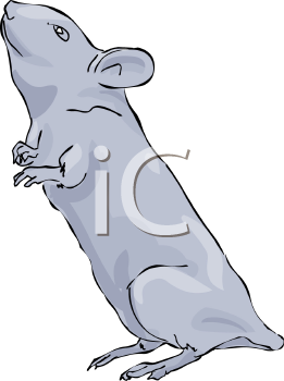 Rodent Clipart