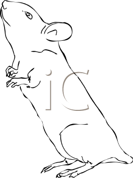 Rodent Clipart