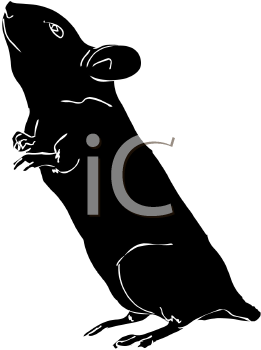 Rodent Clipart