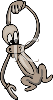 Primate Clipart