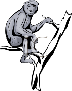 Primate Clipart