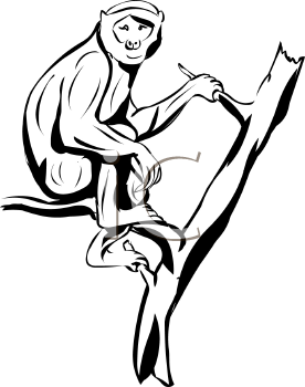 Primate Clipart