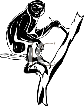 Primate Clipart