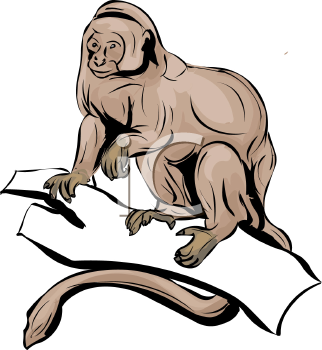 Primate Clipart