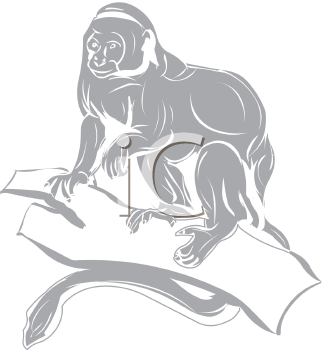 Primate Clipart