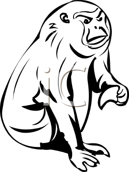 Primate Clipart