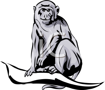 Primate Clipart