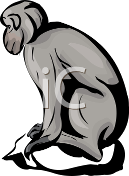 Primate Clipart