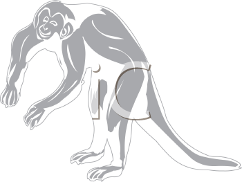 Primate Clipart