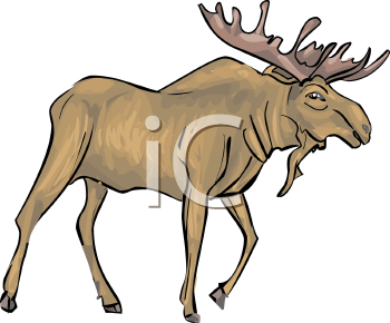 Deer Clipart