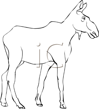 Deer Clipart