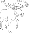 Deer Clipart