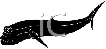 Fish and Sea Life Clipart