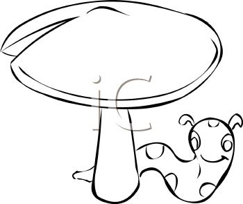 Invertebrates Clipart