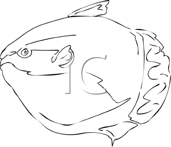 Fish and Sea Life Clipart