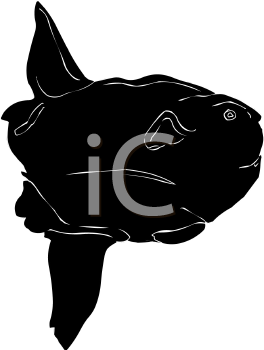 Fish and Sea Life Clipart