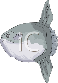 Fish and Sea Life Clipart