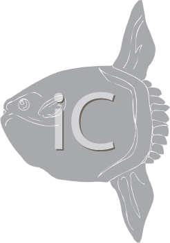 Fish and Sea Life Clipart