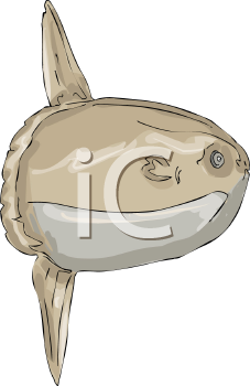 Fish and Sea Life Clipart