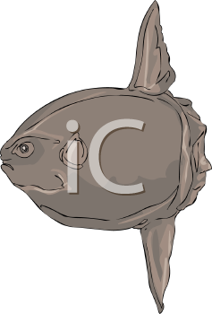 Fish and Sea Life Clipart