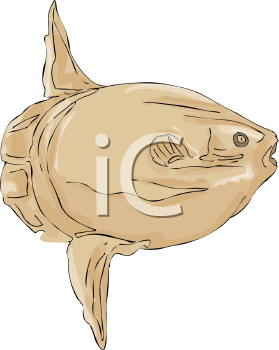 Fish and Sea Life Clipart