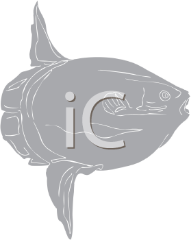 Fish and Sea Life Clipart