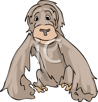 Primate Clipart