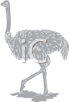 Bird Clipart