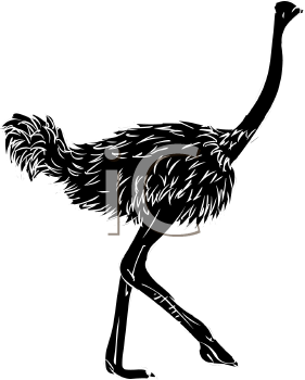 Bird Clipart