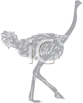 Bird Clipart