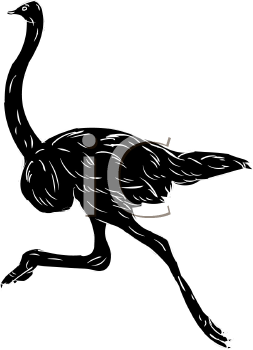 Bird Clipart