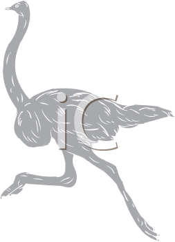 Bird Clipart