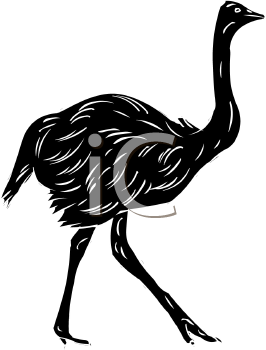 Bird Clipart