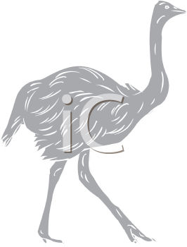 Bird Clipart