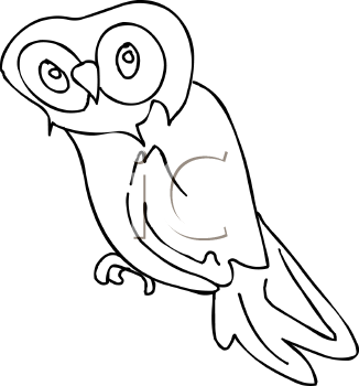 Bird Clipart