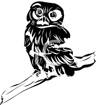 Bird Clipart