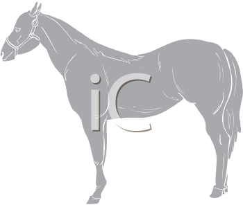 Horse Clipart
