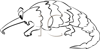 Mammal Clipart