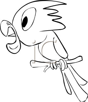 Bird Clipart