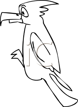 Bird Clipart