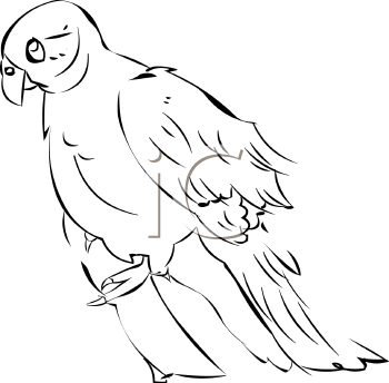 Bird Clipart