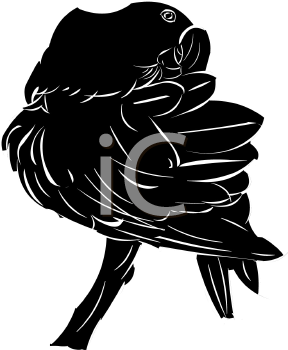 Bird Clipart