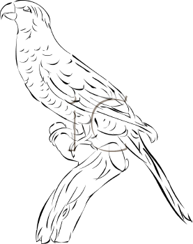 Bird Clipart