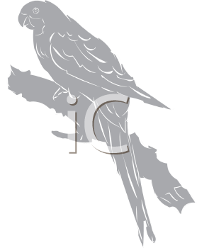 Bird Clipart