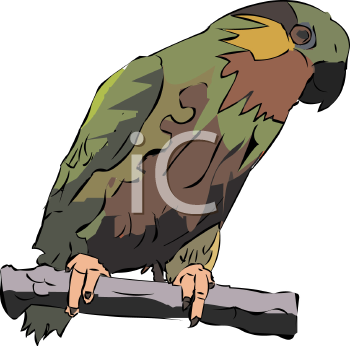 Bird Clipart