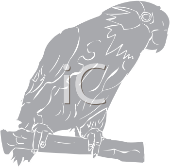 Bird Clipart