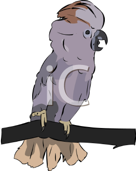 Bird Clipart